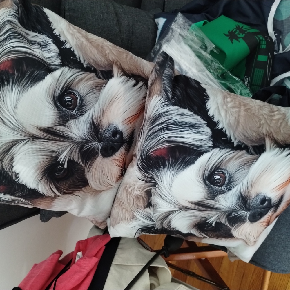 Dog-Theme  Cushion Case With Insert 18 Inc
